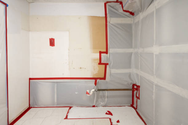 Best Mold Remediation for Rental Properties  in Athens, PA