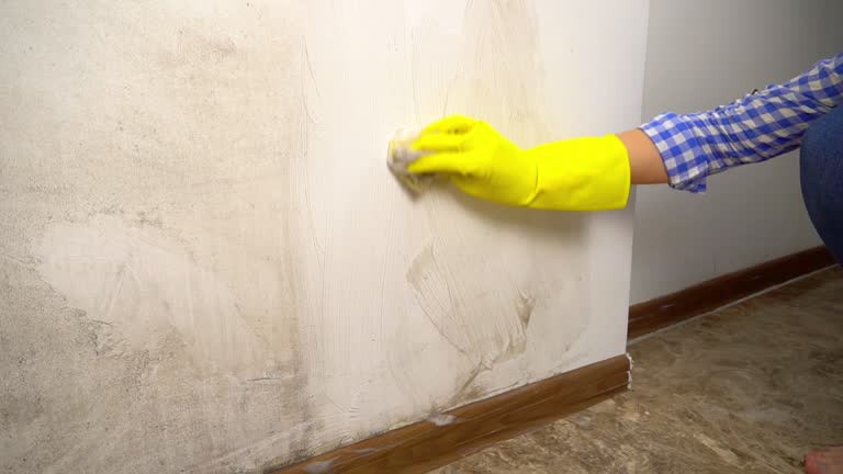 Mold Remediation for Rental Properties in Athens, PA