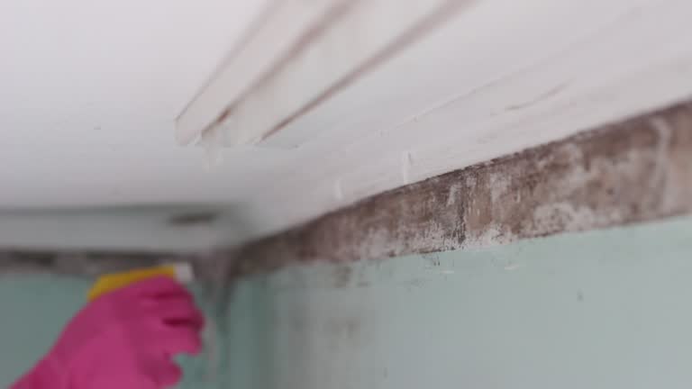 Best Mold Prevention Services  in Athens, PA